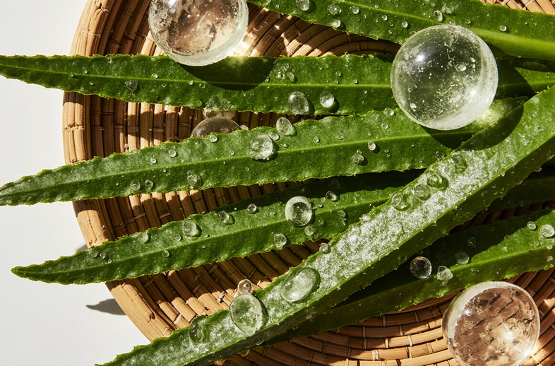 Aloe Vera’nın Saça Faydaları