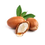 Argan Yağı