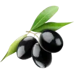Zeytin Yağı